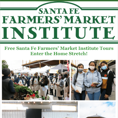 newsletter-november-2021