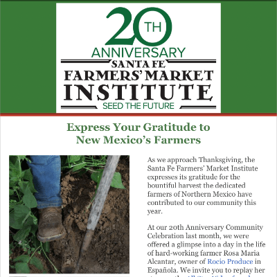 newsletter-november-2022